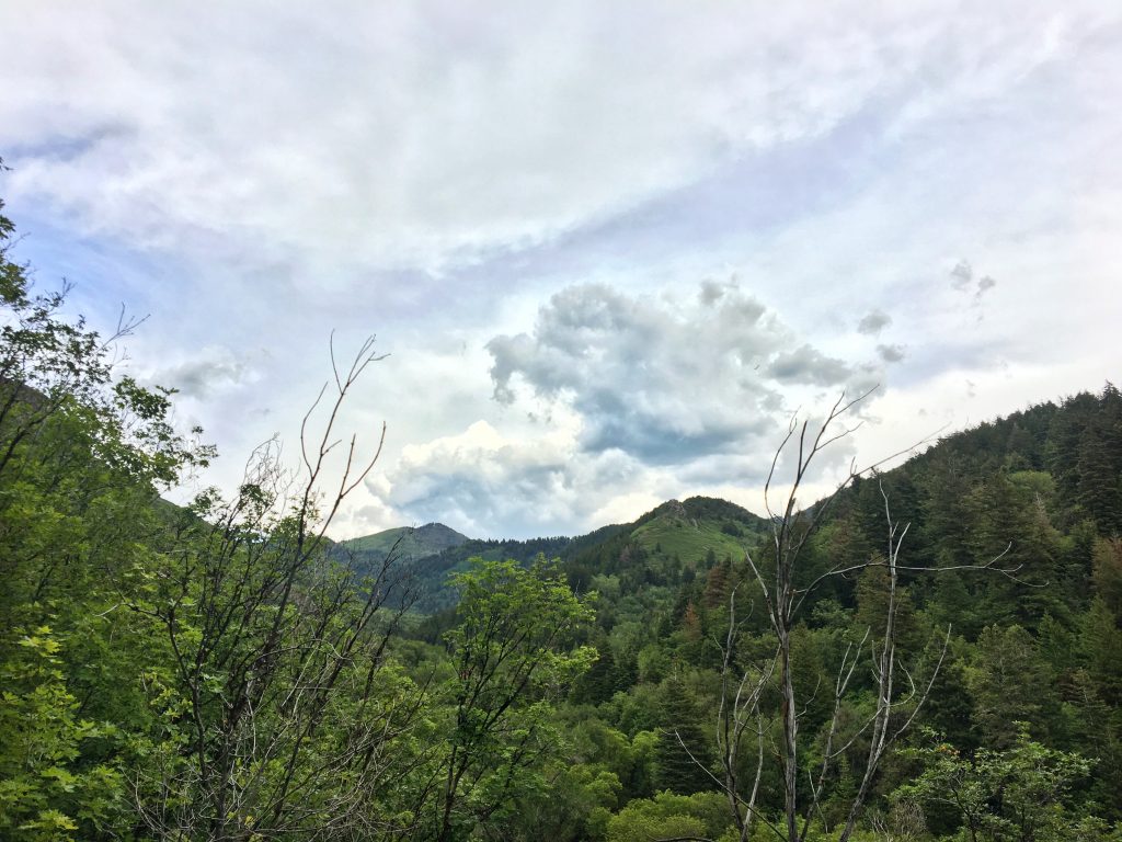 A view from millcreek canyon with a cloudy sky