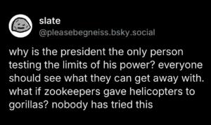 Text reading, "why is the president the only person testing the limits of his power? everyone should see what they can get away with. what if zookeepers gave helicopters to gorillas? nobody has tried this"