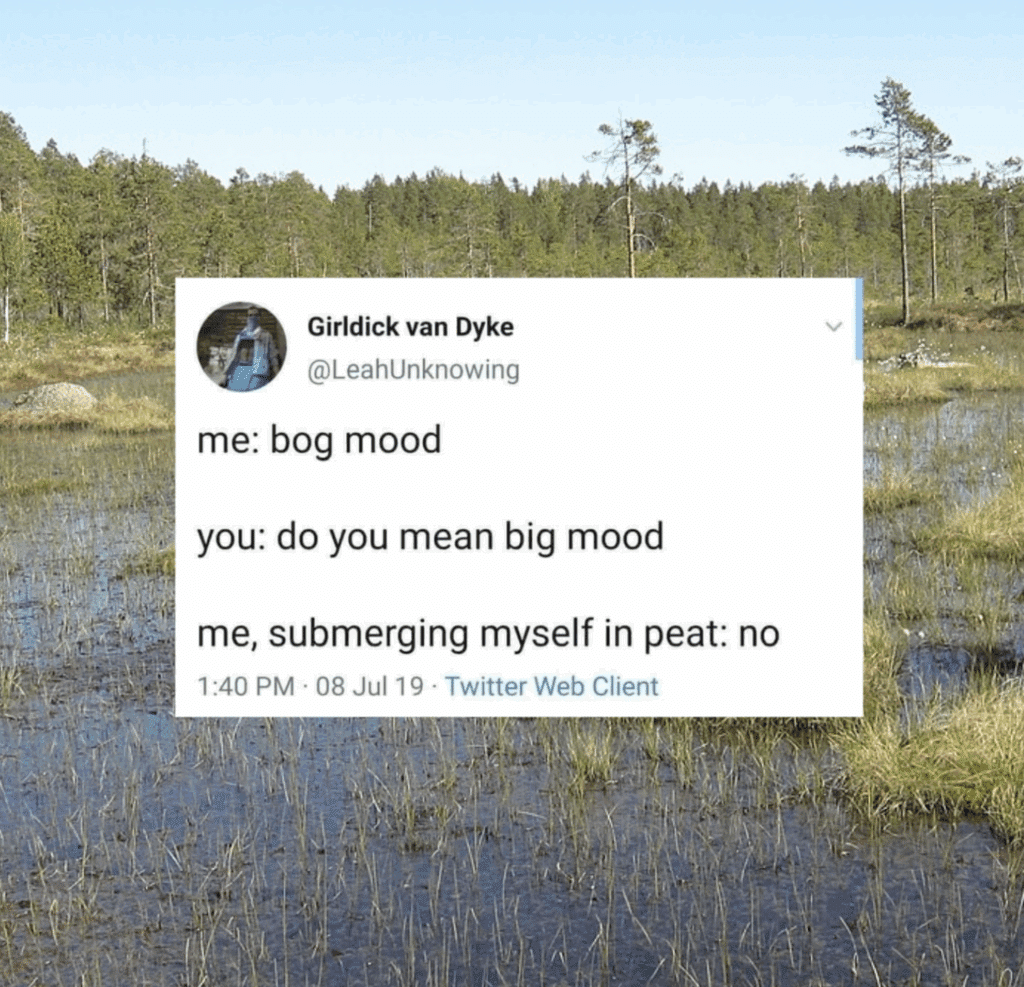 Screenshot of a tweet overlaid on a picture of a bog. Text reads, "me: bog mood
you: do you mean big mood
me, submerging myself in peat: no."