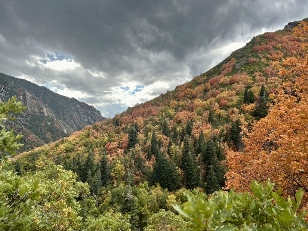 A mountain slope in fall colors with dark clouds forming above it