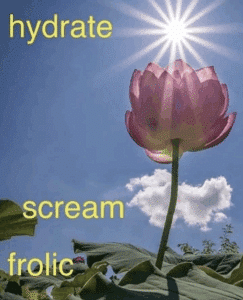 A lotus blossom in the sun. Text on the image says, Hydrate. Scream. Frolic.