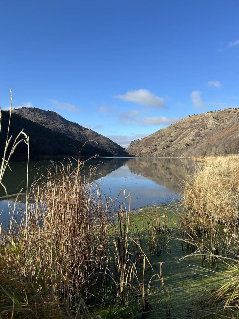 Looking north over a flat calm river with mountains on either side. In the foreground the water is covered in green duckweed. 