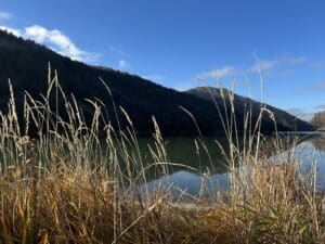 Black mountain silhouetted behind a river, with gold grasses in the foreground getting the light.