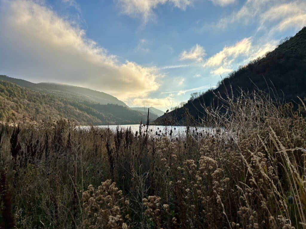 Looking south over an autumnal river valley. The clouds are filtering the light and there are dried weeds in the foreground.