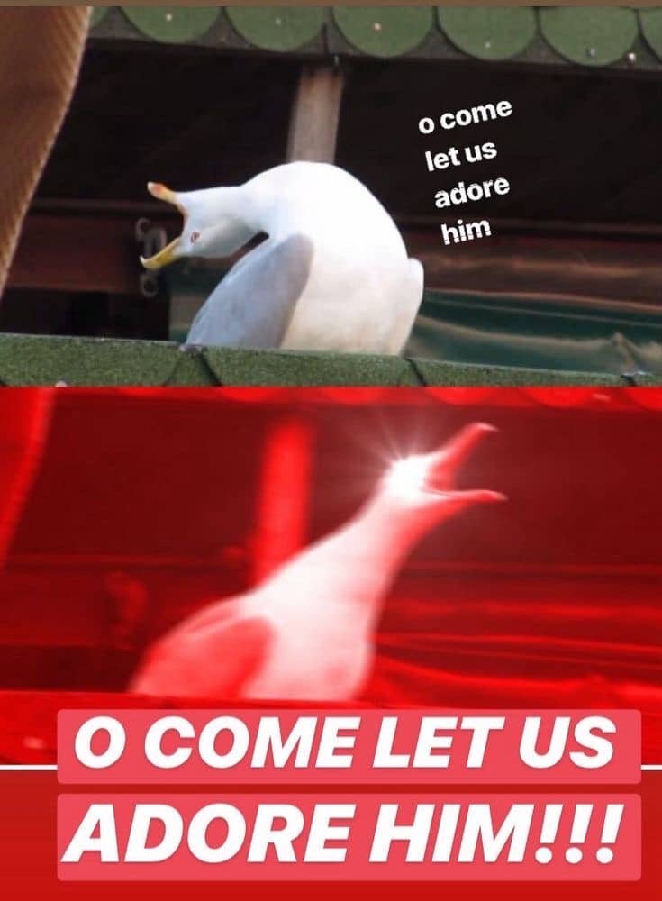 A two panel meme. On the top panel, a seagull throws its head back like it's inhaling, with "o come let us adore him" in tiny letters. On the bottom panel, the image has a red tint and the seagull has laser eyes. Its head is pointing forward like it's shouting, and the text reads, "O COME LET US ADORE HIM" 