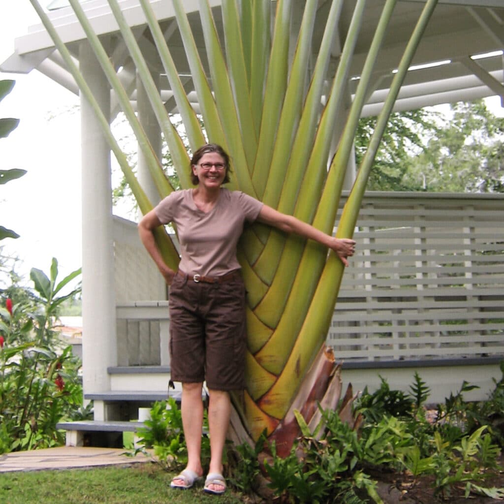 A woman in shorts stands in front of a giant tropical plant
