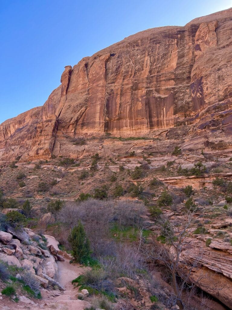 Red cliffs at sunset against a blue sky