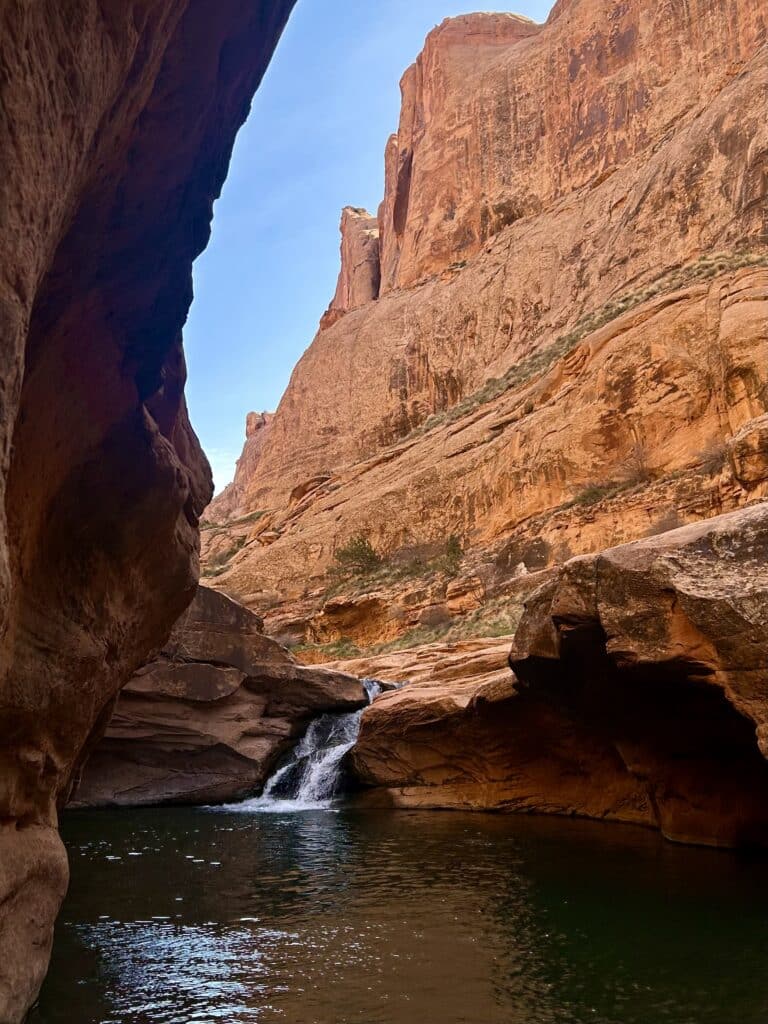 A waterfall and swimming hole in the red cliffs