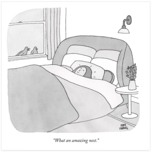 Cartoon of two birds looking in at a woman in a bed with lots of pillows. One bird is saying, "What an amazing nest."