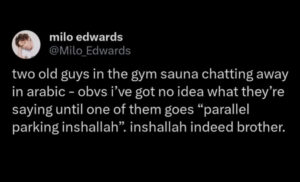 screenshot of a post that says, two old guys in the gym sauna chatting away in arabic - obvs i've got no idea what they're saying until one of them goes "parallel parking inshallah". inshallah indeed brother.
