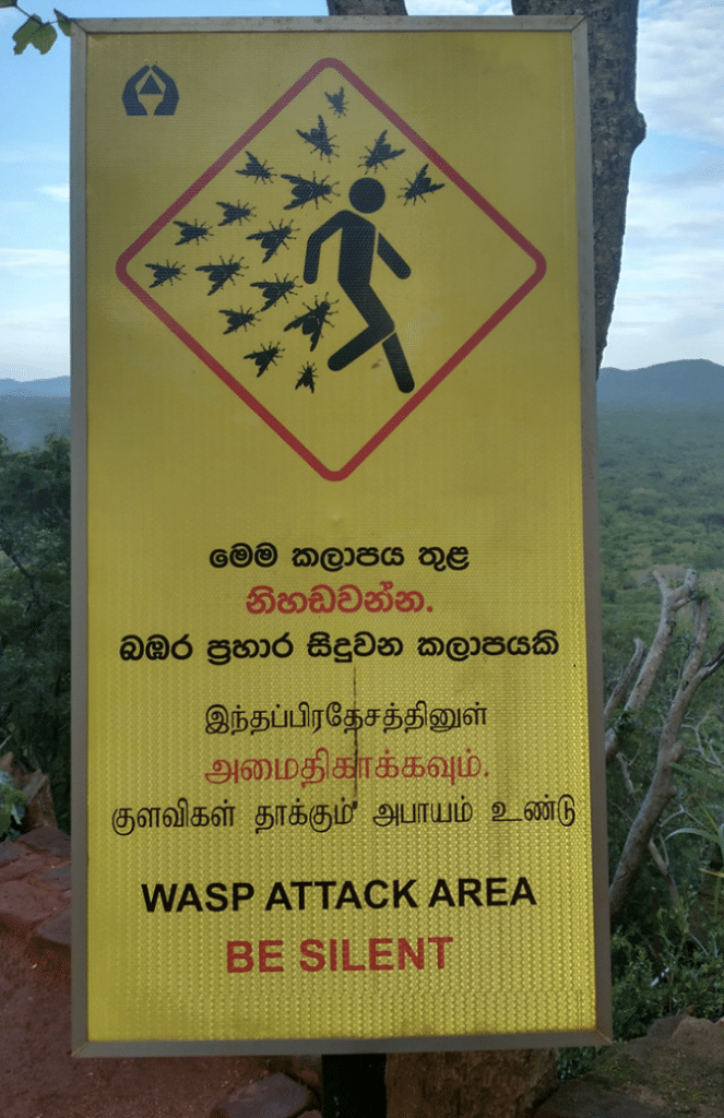 A yellow warning sign with a stick figure being swarmed by wasps. Text says WASP ATTACK AREA. BE SILENT.
