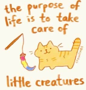 A sketch of a cat and a wand toy. Handwritten text says "the purpose of life is to take care of little creatures"
