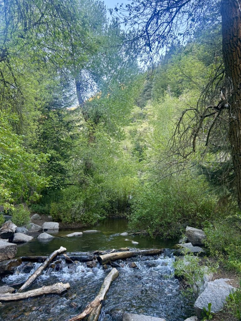 A river waterfall in the forest, with mountains in the background