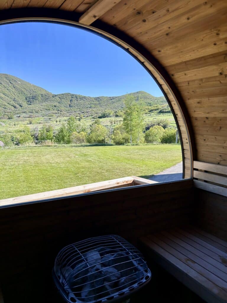 View from inside a sauna with a window, looking outside onto a green meadow and mountains