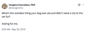 screenshot of a post that says "What's the weirdest thing your dog ever ate and didn't need a trip to the vet for? Asking for me."