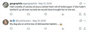 Screenshot of a post that says "Half a bottle of canola oil plus a whole fresh roll of toilet paper. If she hadn't barfed it up all over my bed we would have brought her to the vet." and a reply that says, "My dog ate an entire box of dishwasher tablets ..."
