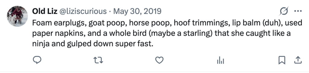screenshot of a post that says, "Foam earplugs, goat poop, horse poop, hoof trimmings, lip balm (duh), used paper napkins, and a whole bird (maybe a starling) that she caught like a ninja and gulped down super fast."