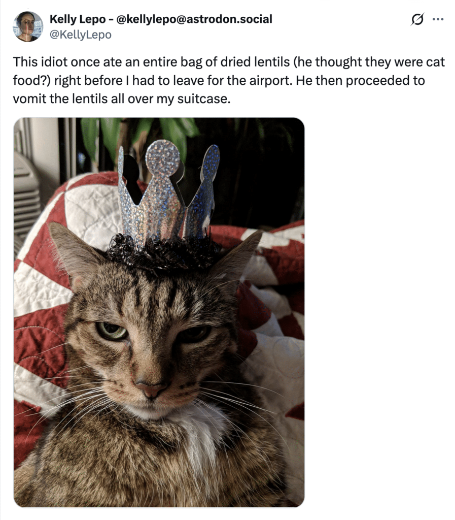 Screenshot of a post with a cat picture and this text: "This idiot once ate an entire bag of dried lentils (he thought they were cat food?) right before I had to leave for the airport. He then proceeded to vomit the lentils all over my suitcase."