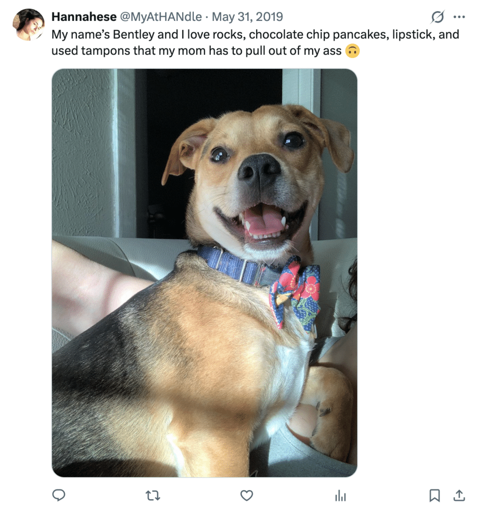 Screenshot of a post with a happy dog and this text: "My name's Bentley and I love rocks, chocolate chip pancakes, lipstick, and used tampons that my mom has to pull out of my ass" 
