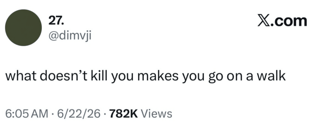 Screenshot of a tweet that says, "That which doesn't kill you makes you go on a walk 