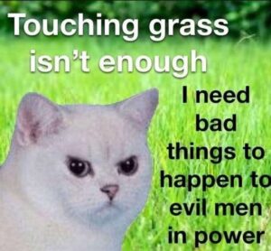 A mad white cat photoshopped onto a grassy background. Text says, "Touching grass isn't enough. I need bad things to happen to evil men in power."