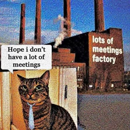 Image of a cat in a tie saying "Hope I don't have a lot of meetings" in front of a factory building that is labeled "lots of meetings factory" 