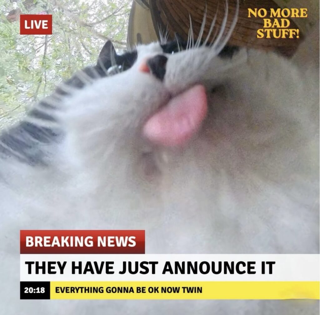 Picture of a cat licking a screen. A fake news chyron says "BREAKING NEWS THEY HAVE JUST ANNOUNCE IT"