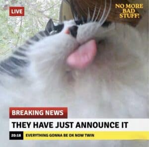 Picture of a cat licking a screen. A fake news chyron says "BREAKING NEWS THEY HAVE JUST ANNOUNCE IT"
