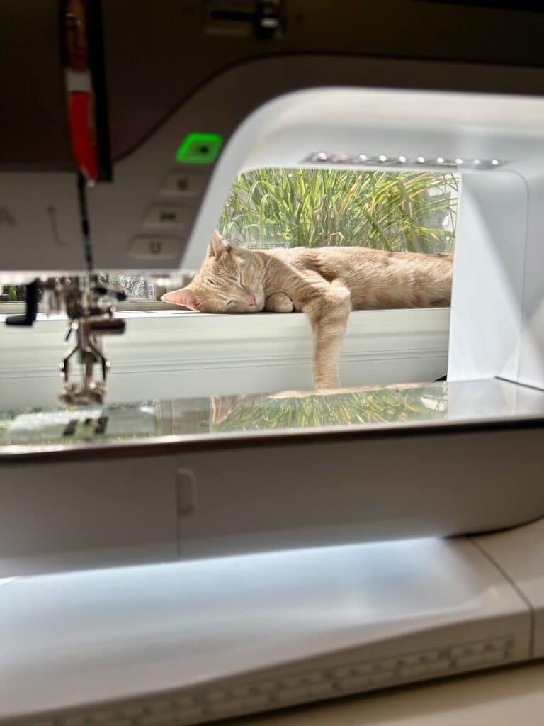 An orange cat asleep on a windowsill, seen through the harp of a sewing machine