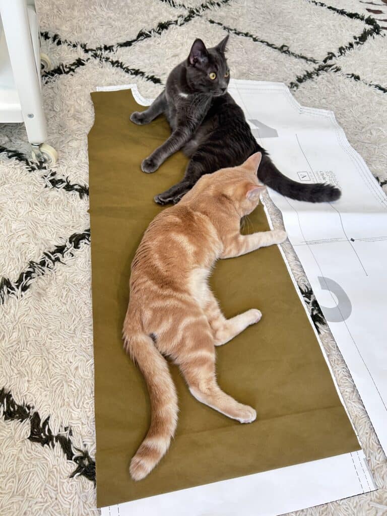 An orange cat and a gray cat on a pattern piece