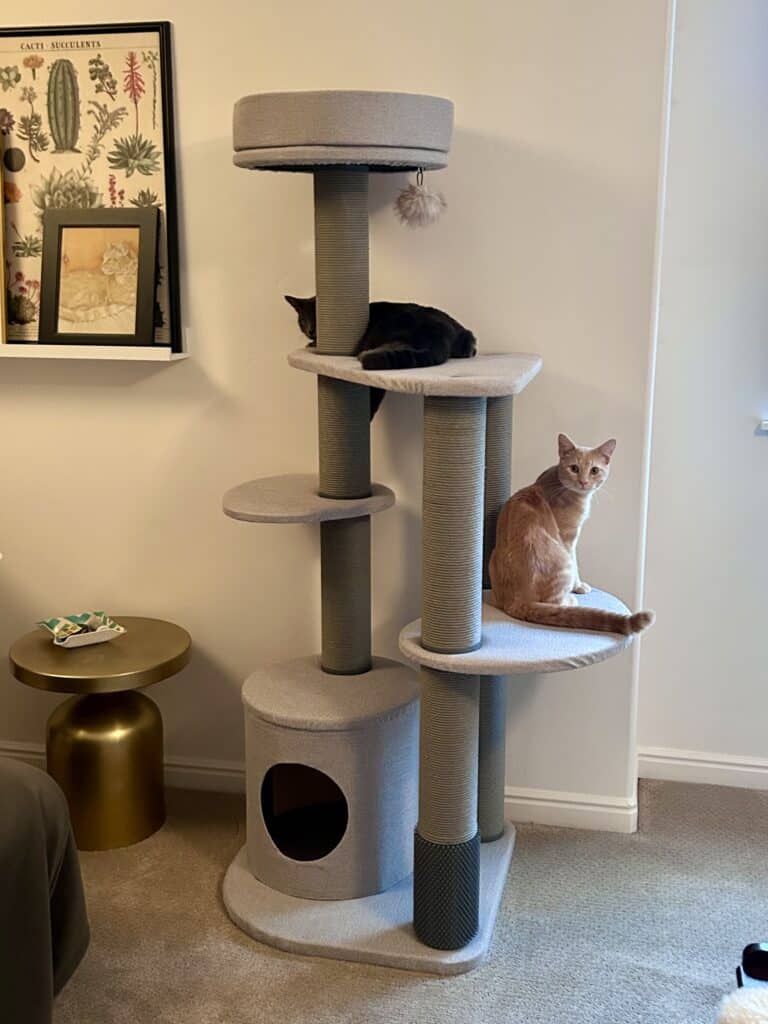 A large gray cat tower against a wall in the bedroom. A gray cat is on the platform at top and an orange cat is a level below.