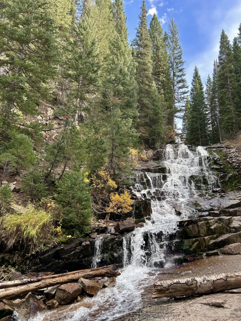 A waterfall cascading over rocks among pine trees