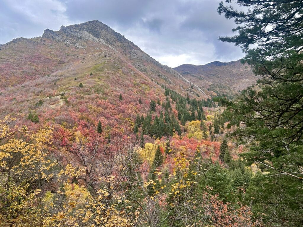 A mountainside in bright fall colors with a cloudy sky