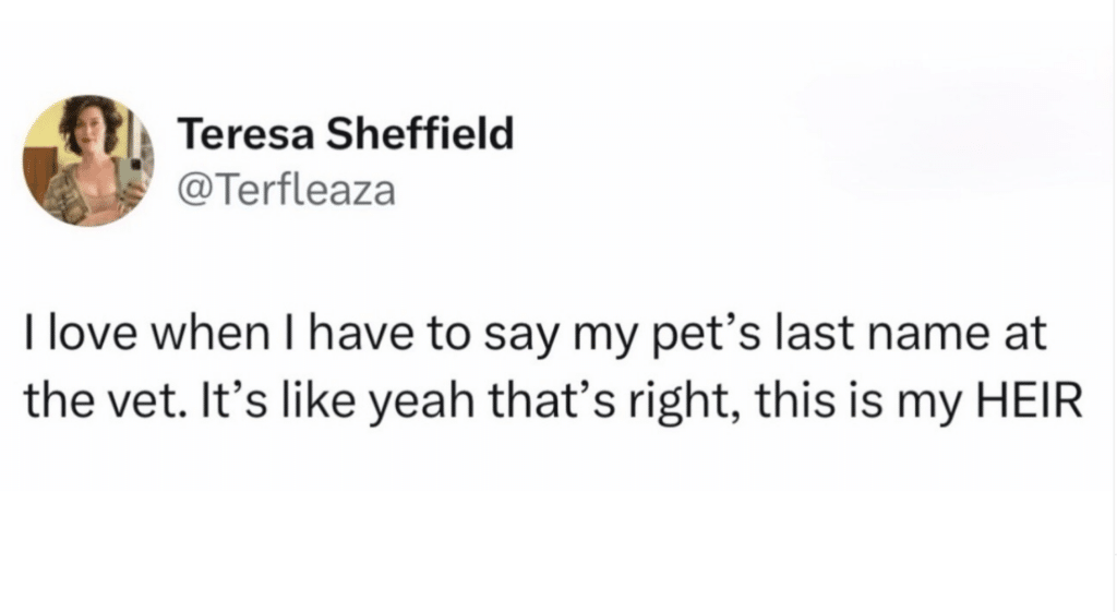 Screenshot of a tweet that says, "I love when I have to say my pet's last name at the vet. It's like yeah that's right, this is my HEIR"