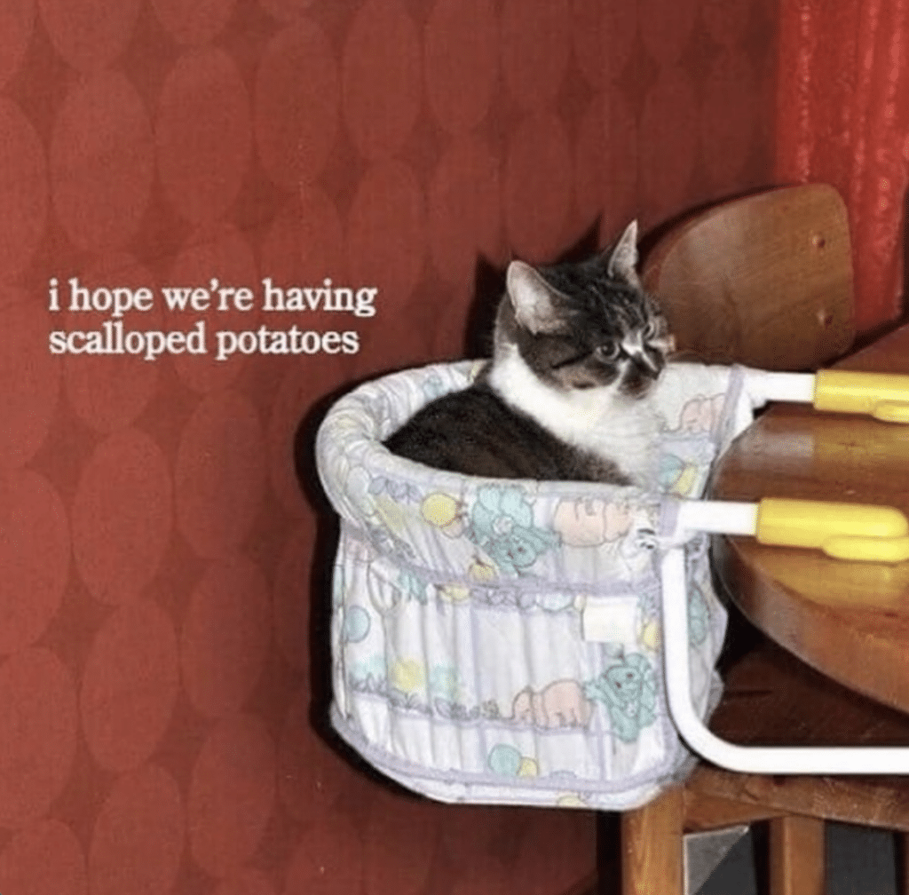 A cat sitting in a high chair with the caption, I hope we're having scalloped potatoes